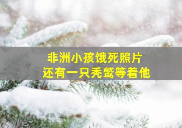 非洲小孩饿死照片 还有一只秃鹫等着他